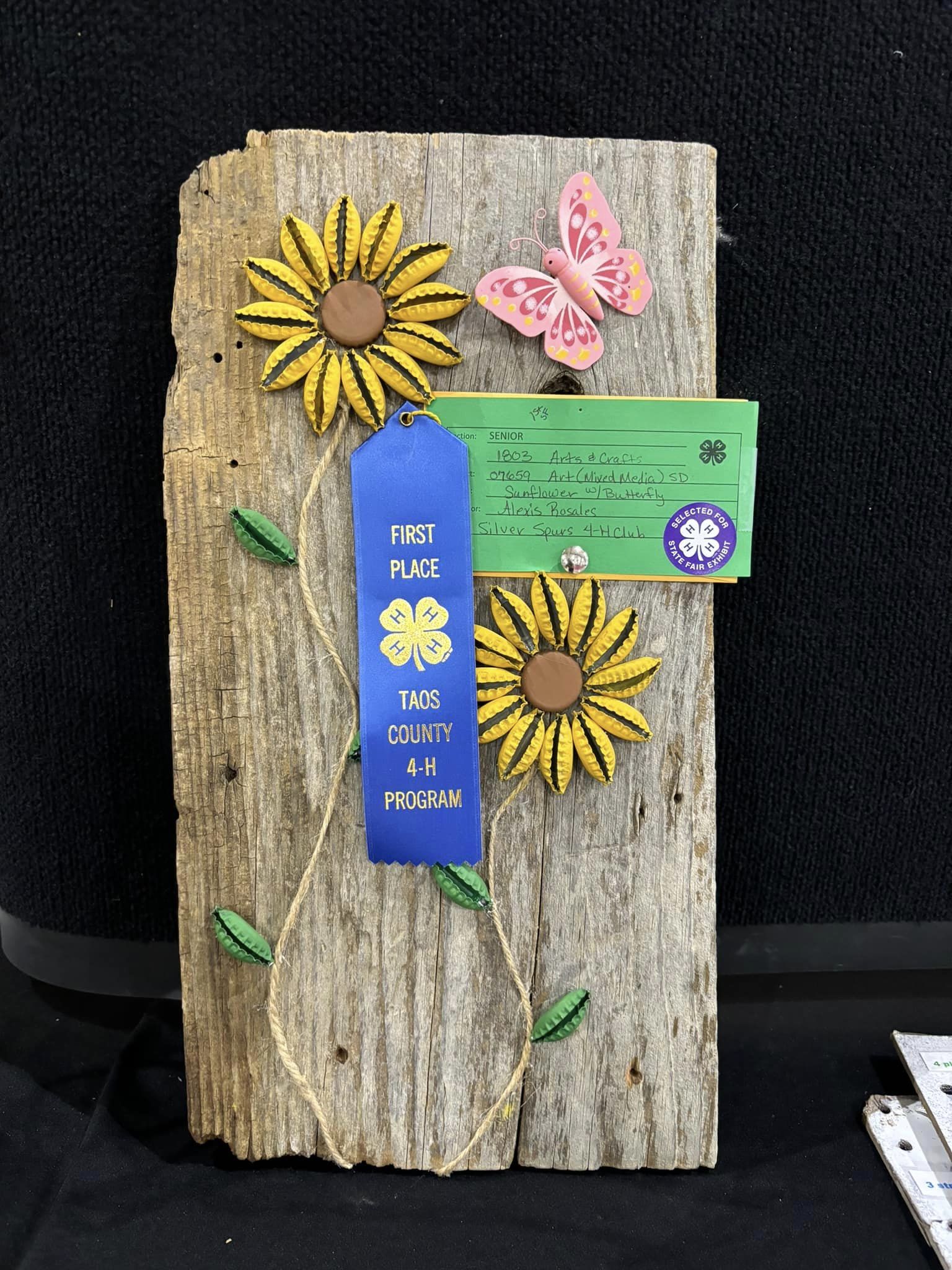 Quilting Division '23-Taos County Fair-Juan I. Gonzales Agricultural Center-Taos, NM